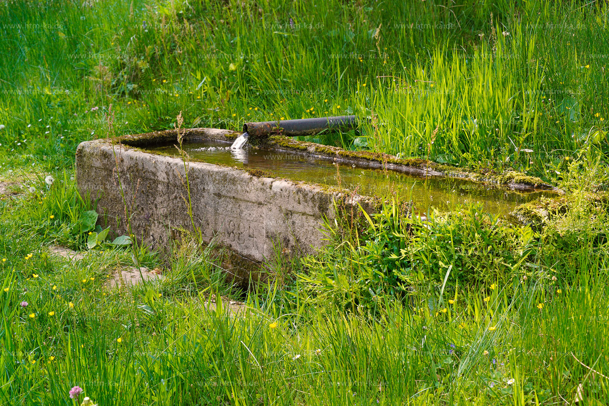 Brunnen an Quelle