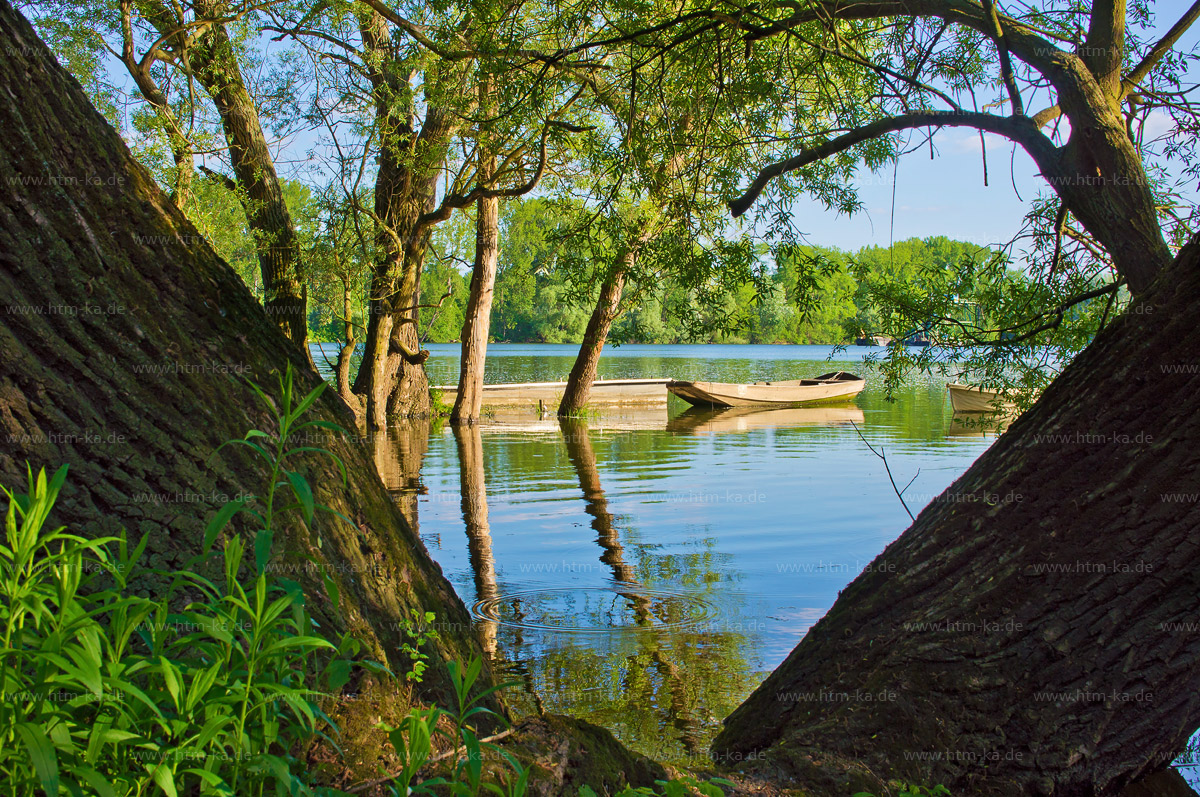 Altrein, Auwald, Baggersee