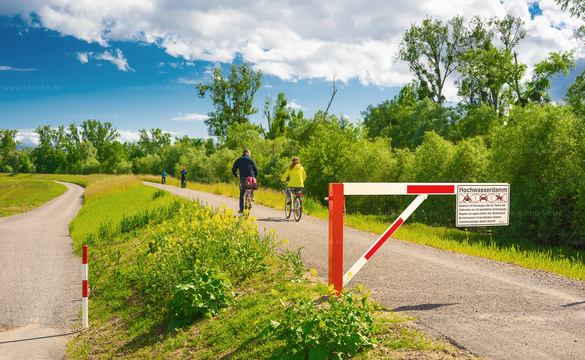 Radfahrer Hochwasserschutzdamm