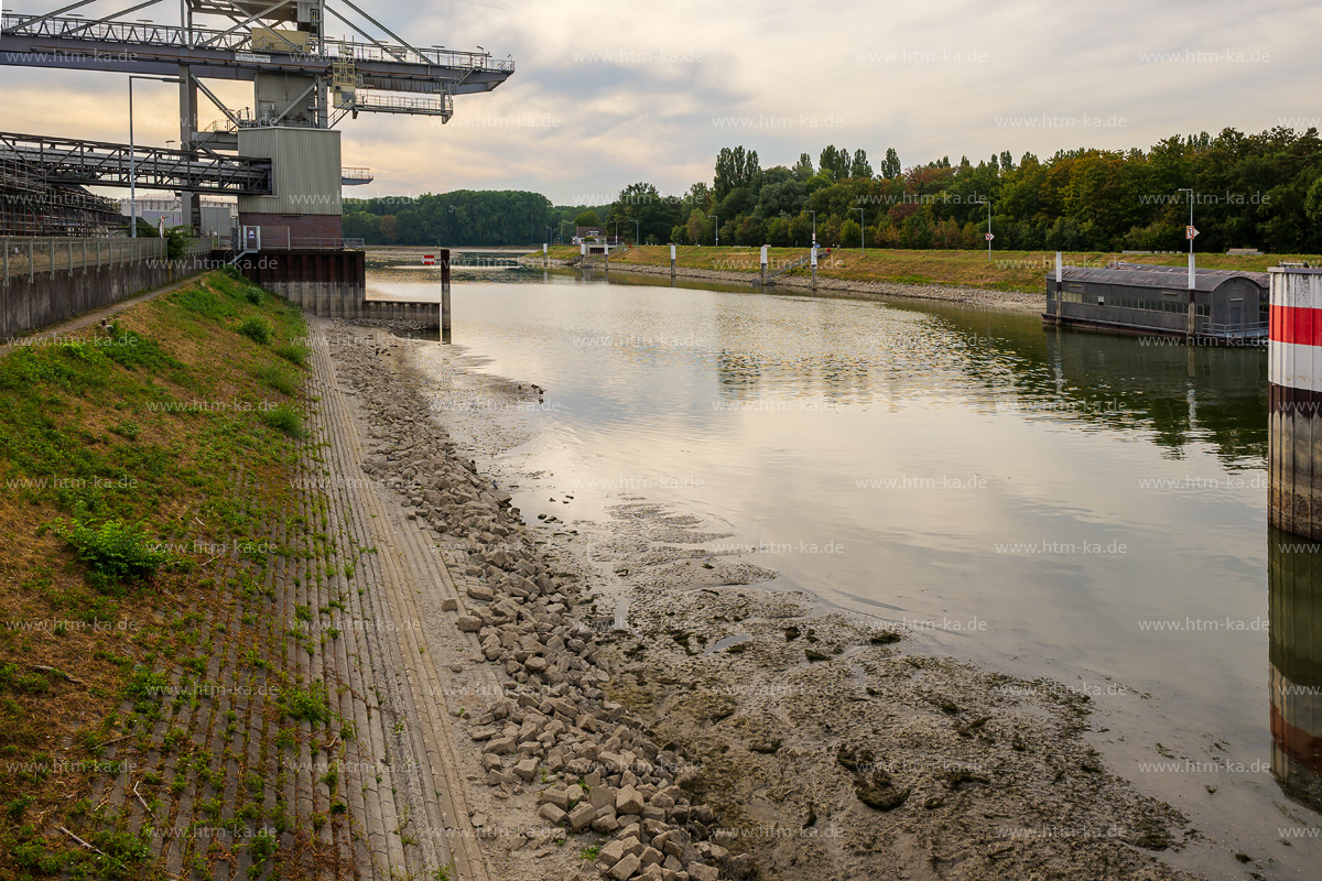 Dürre Trockenheit Niedrigwasser Rheinhafen Karlsruhe