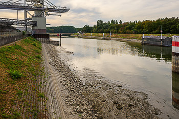 Dürre Trockenheit Niedrigwasser Rheinhafen Karlsruhe
