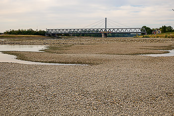 Dürre Trockenheit Niedrigwasser Rhein Karlsruhe
